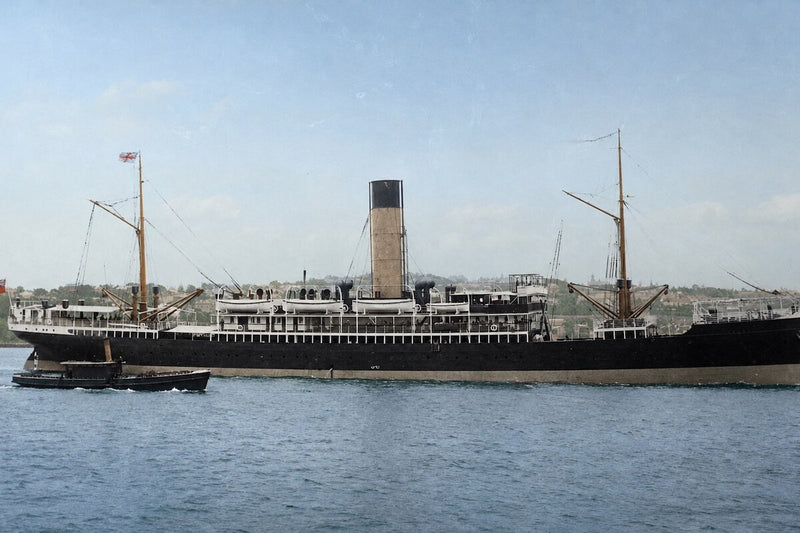SS Yongala: The 1911 Shipwreck That Became a Thriving Reef