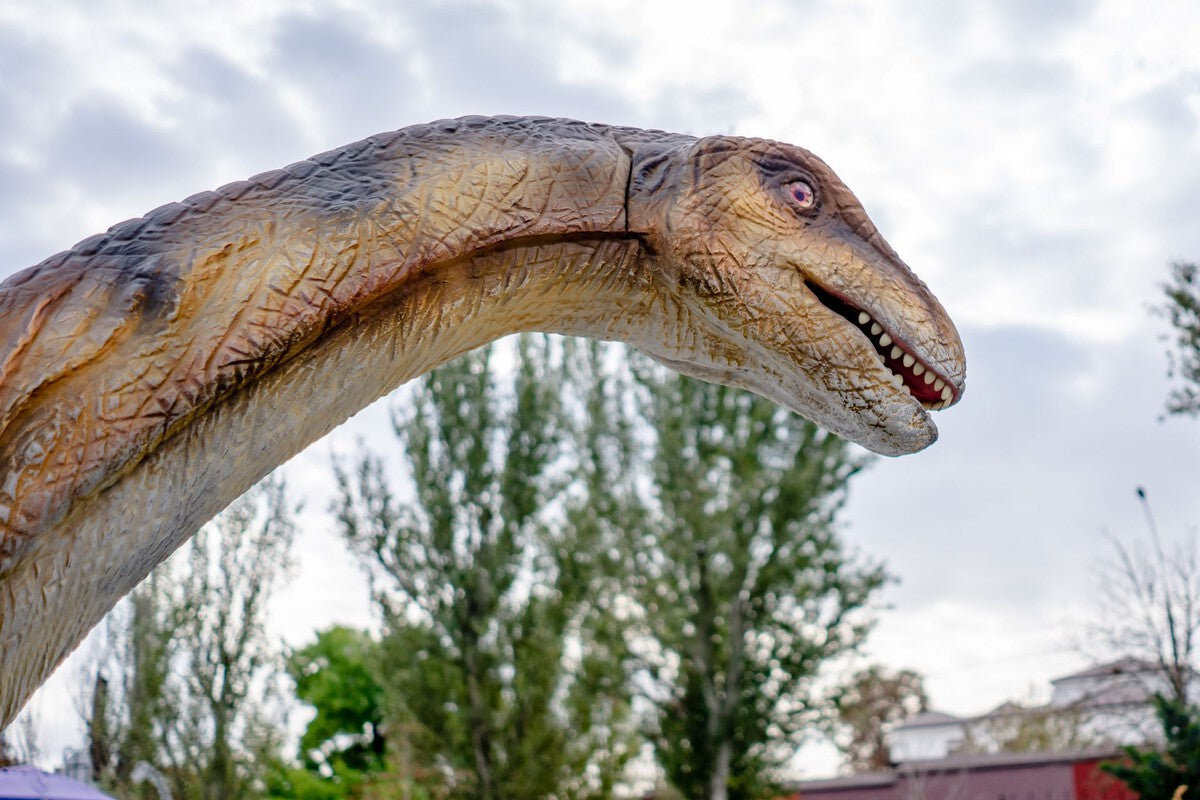 First Diplodocus Fossil Outside North America Found in Spain