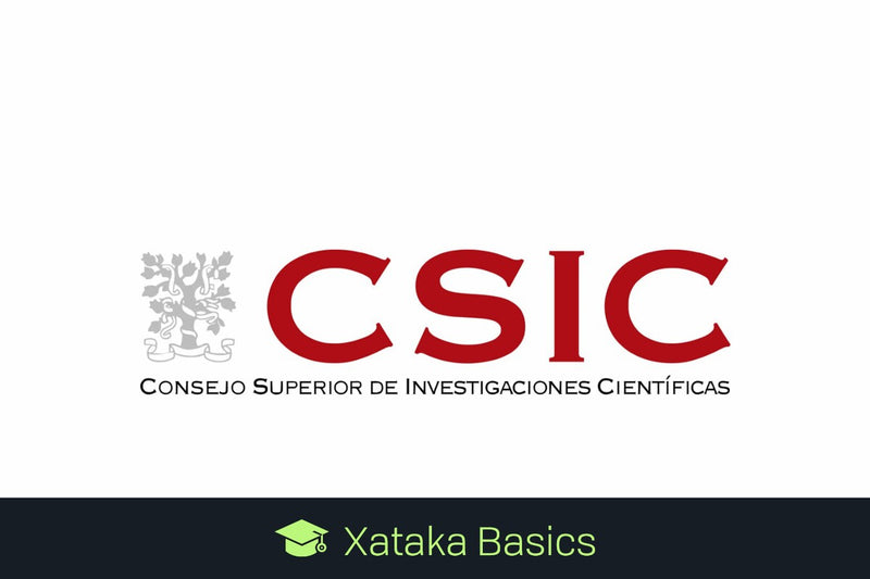 CSIC Job Bank: Requirements and How to Apply for Research Roles