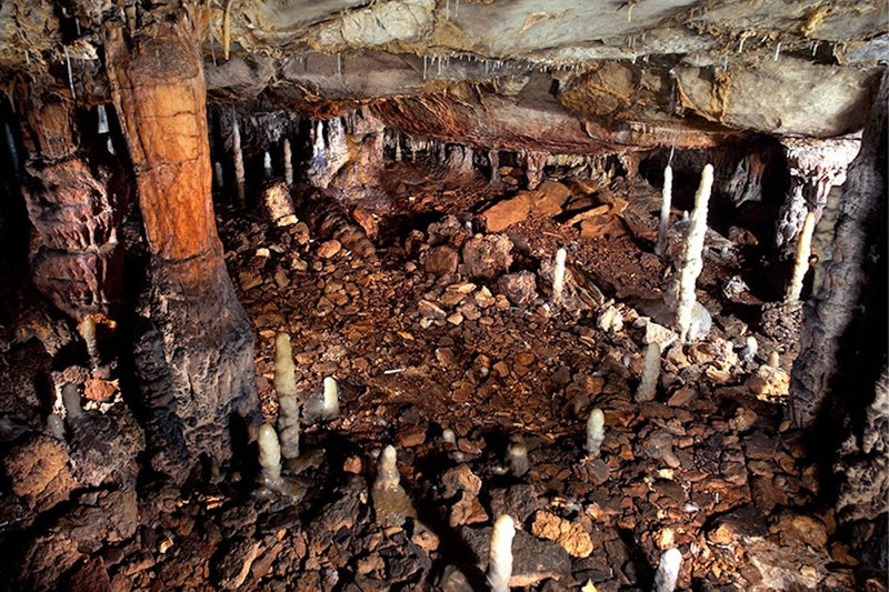 Cantabria Cave Reveals 16,500-Year-Old Stone Age Home