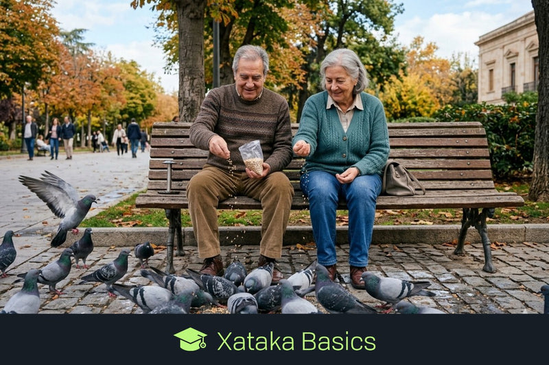 Retirement Age 2026: Minimum Age and How to Know When You Can Retire