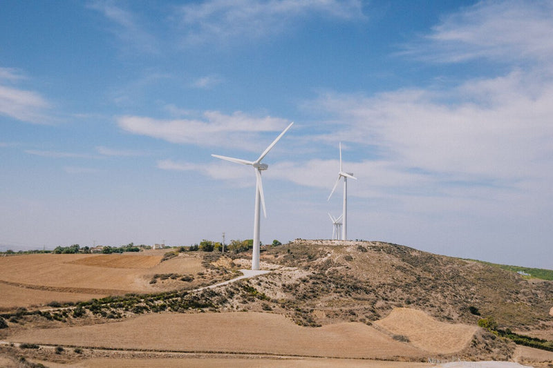 UN Report: Climate Action Returns $15 for Every $1 Invested