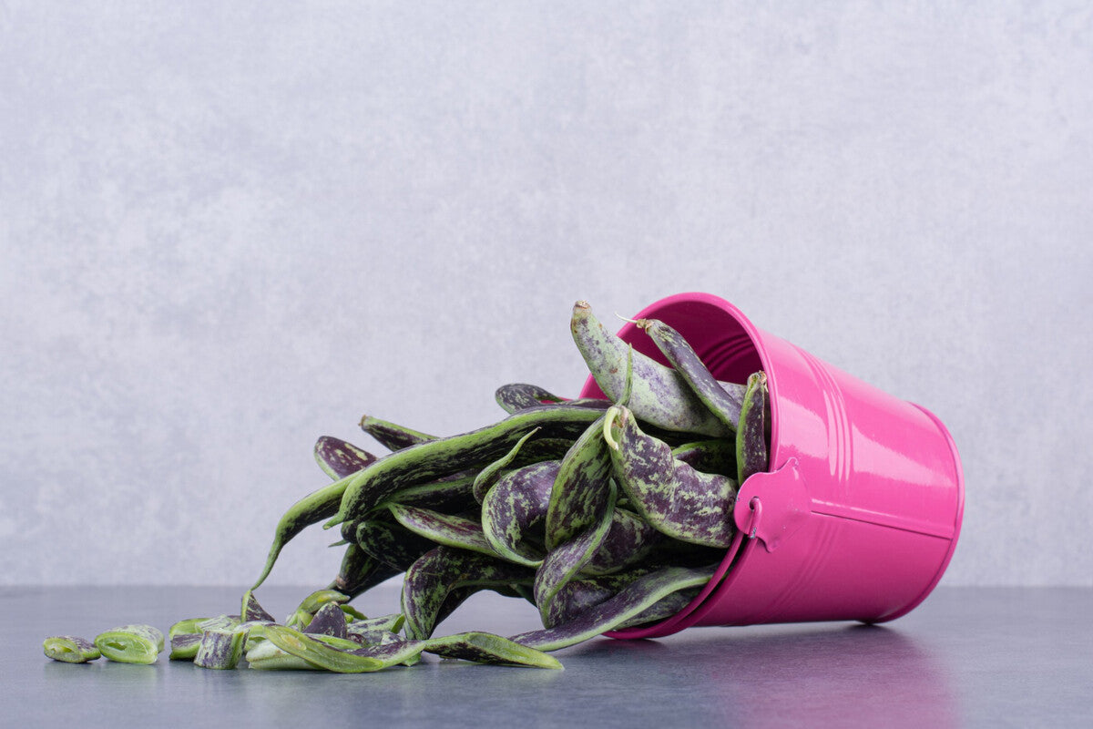 How to Tell If a Heat-Stressed Plant Is Dead or Just Dormant