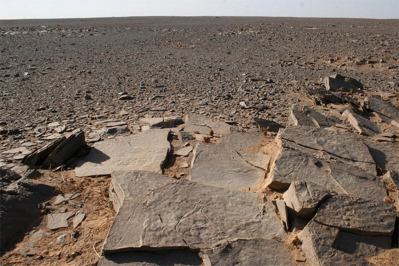 Sahara's 55-Meter 'Antenna' Tomb Finally Dated to 2467–2150 BC