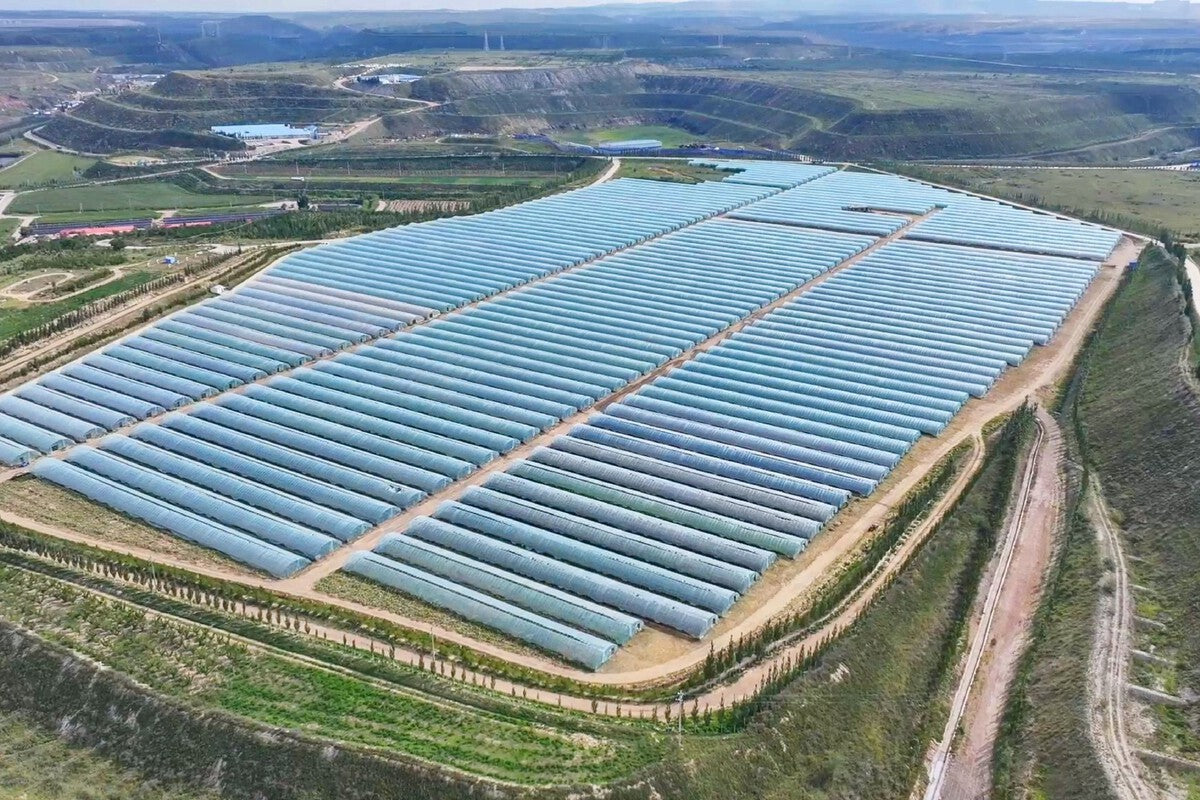 China Turns Coal Mine Scars Into Thriving Farms and Greenhouses