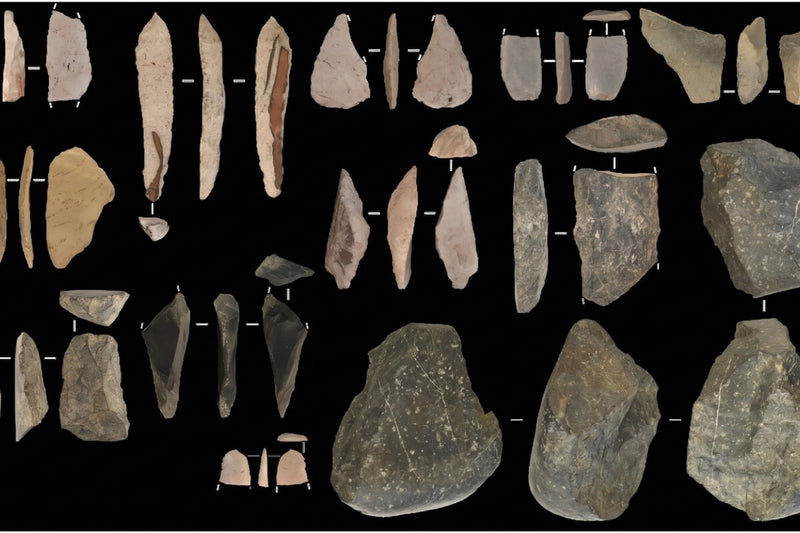 Beringia's Lost Link: Bison Hunters Who Crossed from Asia to America 13,800