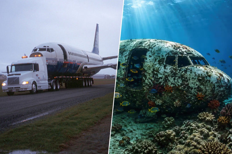 Boeing 737 Sunk as Artificial Reef: A Diving Attraction