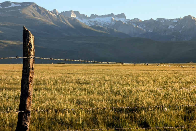 How Barbed Wire Became America's First Rural Telecom Network
