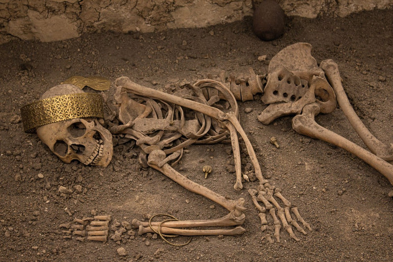 Prehistoric Gender Roles: DNA Rewrites the Hunting and Gathering Story