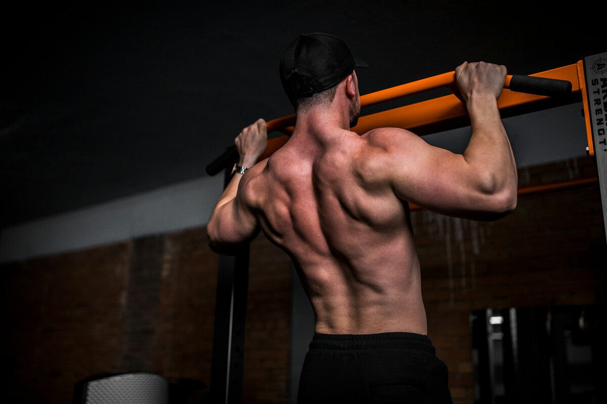 Viagra-Family Drug Tadalafil Shows Promise for Muscle Growth
