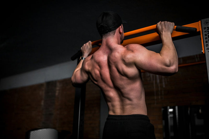 Viagra-Family Drug Tadalafil Shows Promise for Muscle Growth