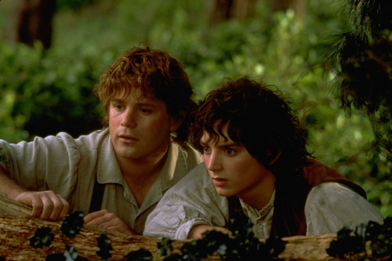 Tolkien's Fury: The First Lord of the Rings Film Attempt