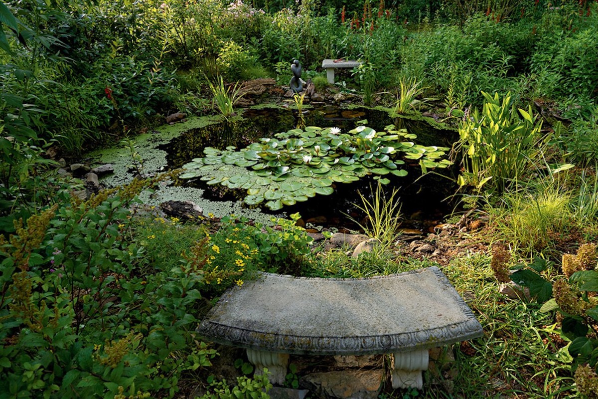 Virginia Backyard Pond Project Transforms Family Yard After Nine Years