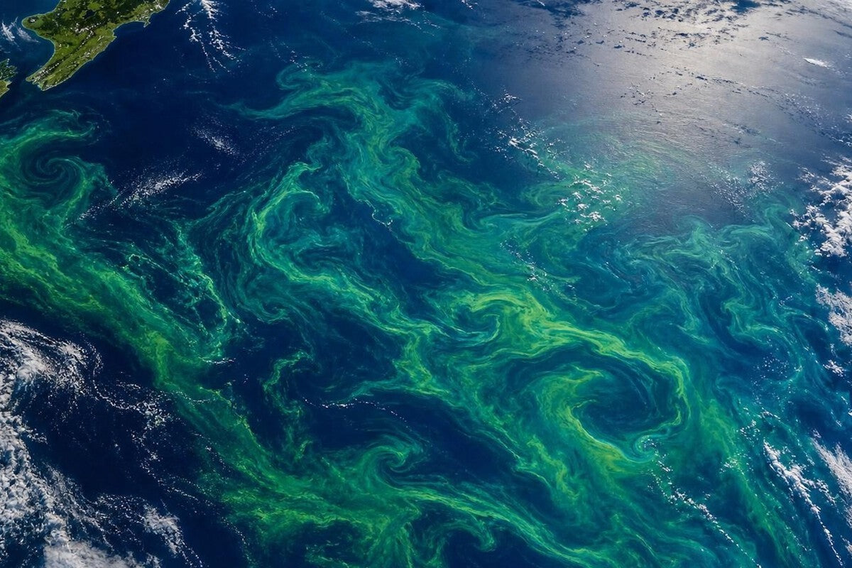 NASA Spots Giant Green Swirl Near New Zealand: It's Not Pollution