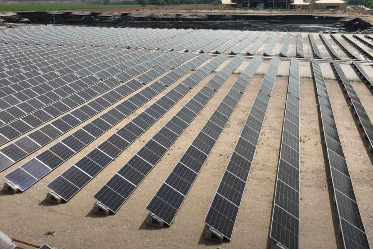Agrivoltaics in Spain: Olive Oil and Solar Power on One Farm