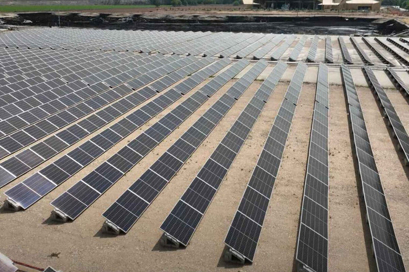 Agrivoltaics in Spain: Olive Oil and Solar Power on One Farm
