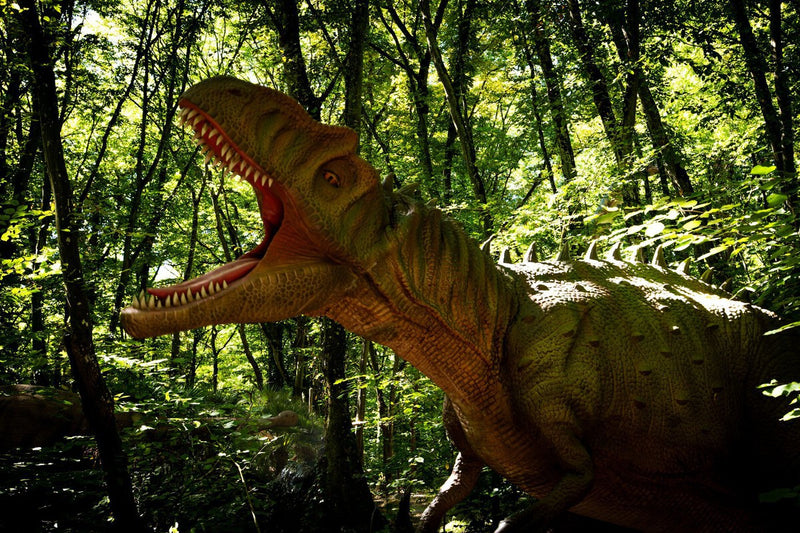 Fossil Dinosaur Feces Reveals Clues to Bird Extinction Survival