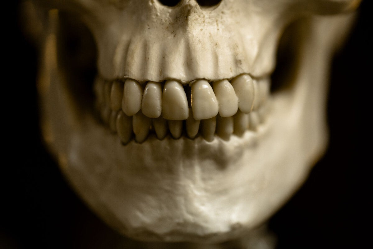 Ancient Drug Use: 25,000-Year-Old Teeth Reveal First Evidence