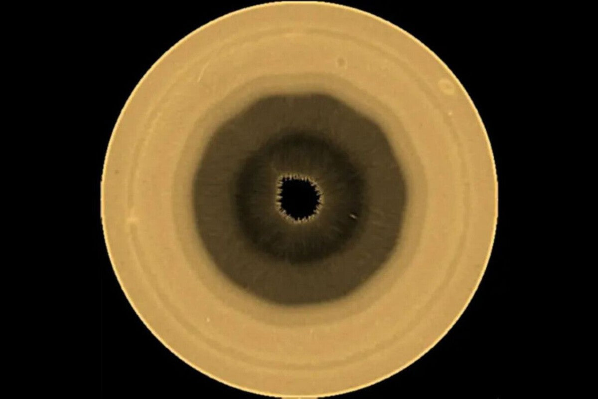 Saturn's South Pole Reveals a Rare Decagonal Cloud Pattern