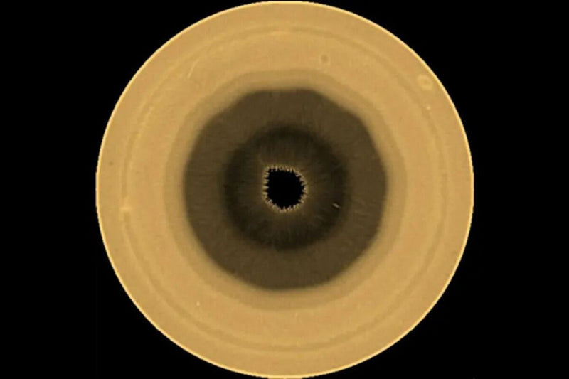 Saturn's South Pole Reveals a Rare Decagonal Cloud Pattern