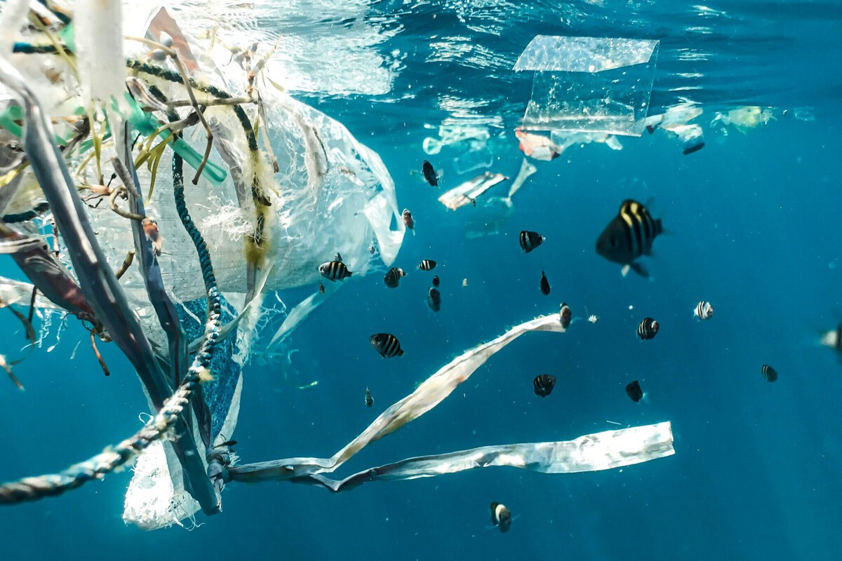 Pacific Garbage Patch: The Real Culprit Behind Ocean Plastic