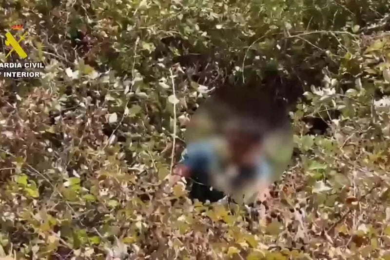 Three Youths Steal Car and Flee Gas Station, Caught 100 km Later