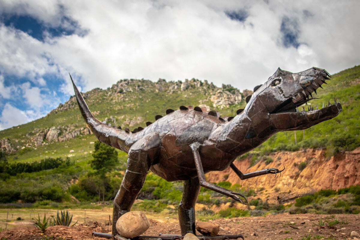 New Dinosaur Discovery in China: Long Claws, Tiny Teeth