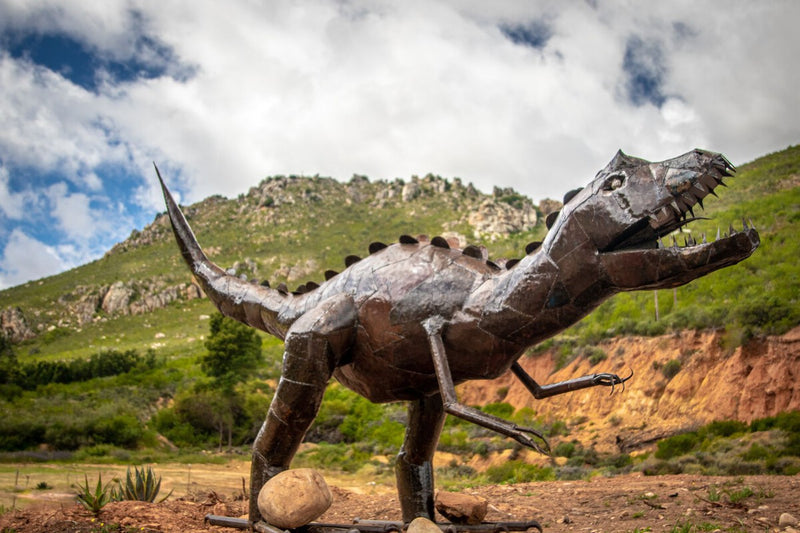 New Dinosaur Discovery in China: Long Claws, Tiny Teeth