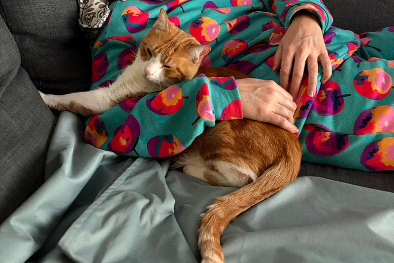 Why Cats Choose the Person Who Ignores Them