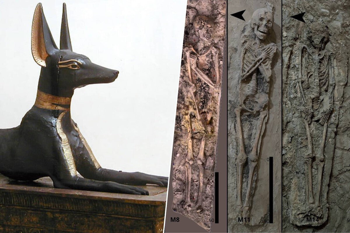 Mummified Dog Over Couple in Egypt Tomb Baffles Experts
