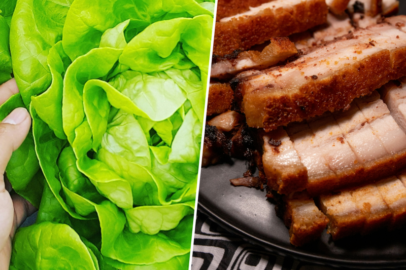 Lettuce Becomes a Molecular Factory for Pig Myoglobin