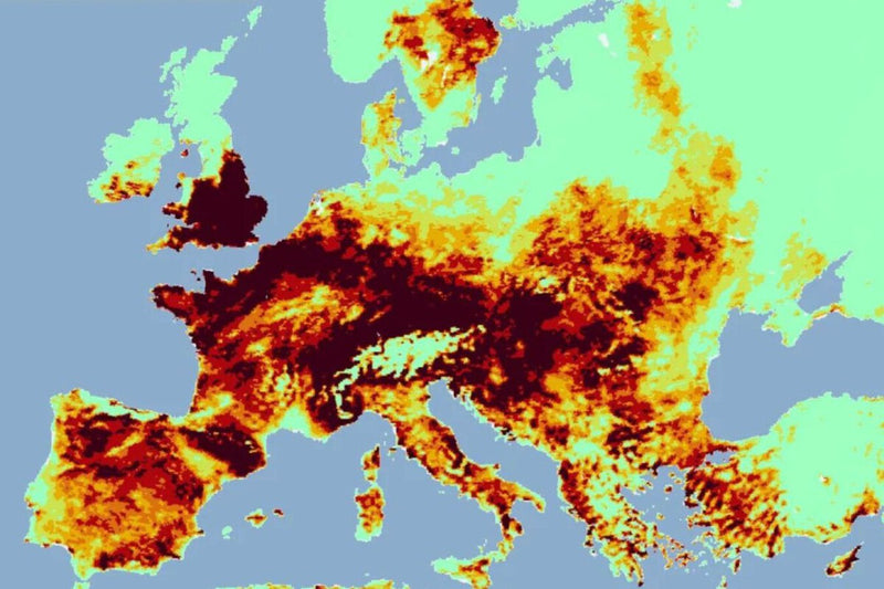 Europe Nears Record Wildfire Year With Spain Leading Blaze Crisis