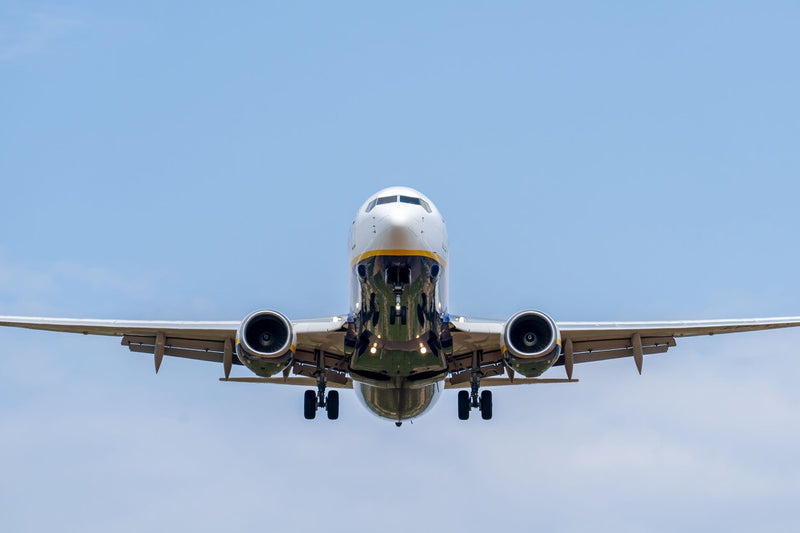 Rough Wings Could Cut Drag by 43.6%, Overturning 80-Year-Old Rule
