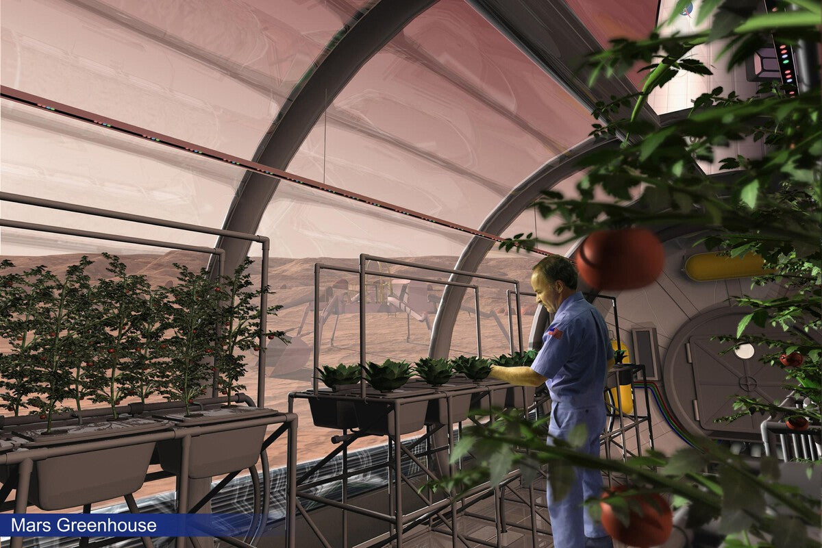 Fungi: The Unexpected Ally for Growing Food on the Moon and Mars
