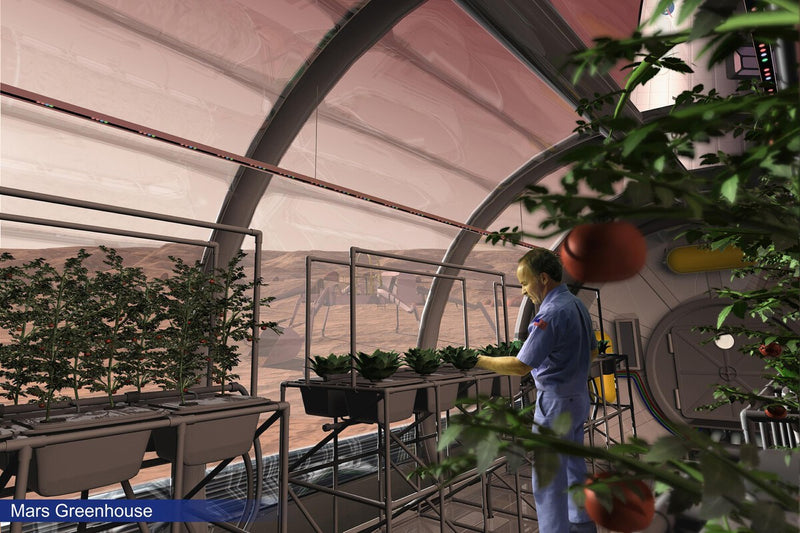 Fungi: The Unexpected Ally for Growing Food on the Moon and Mars