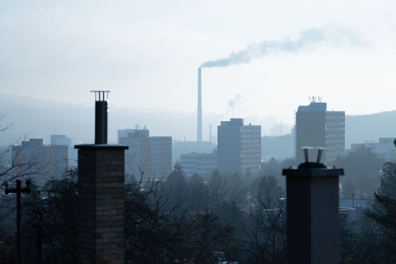 Air Pollution and Gum Disease: How Dirty Air Harms Your Teeth