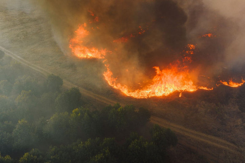 Spain Megafires Now 20 Times More Likely Due to Climate Change