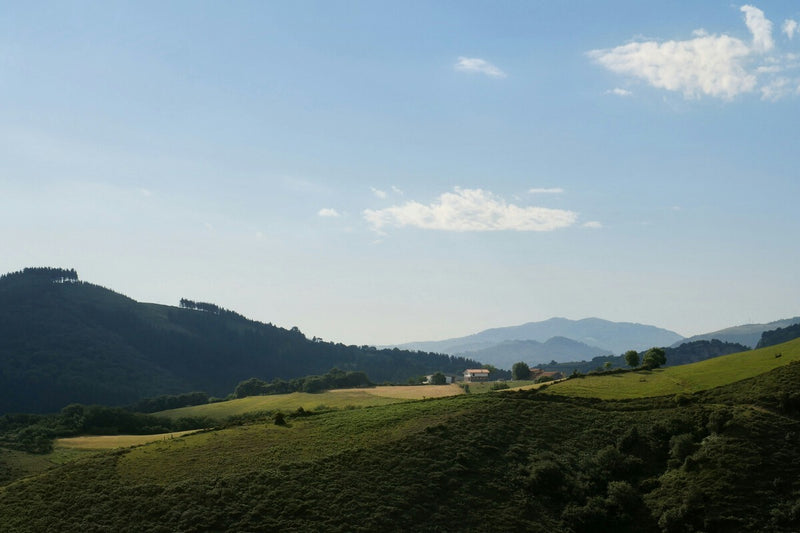 Basque Country Heatwaves Devastate Crops and Dairy Farms