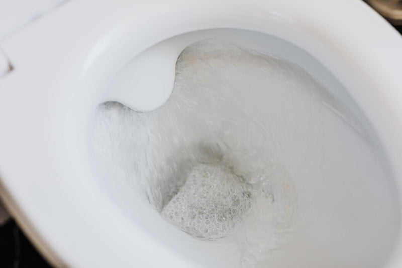 Vinegar Around Toilet: Science Behind the Viral Cleaning Hack
