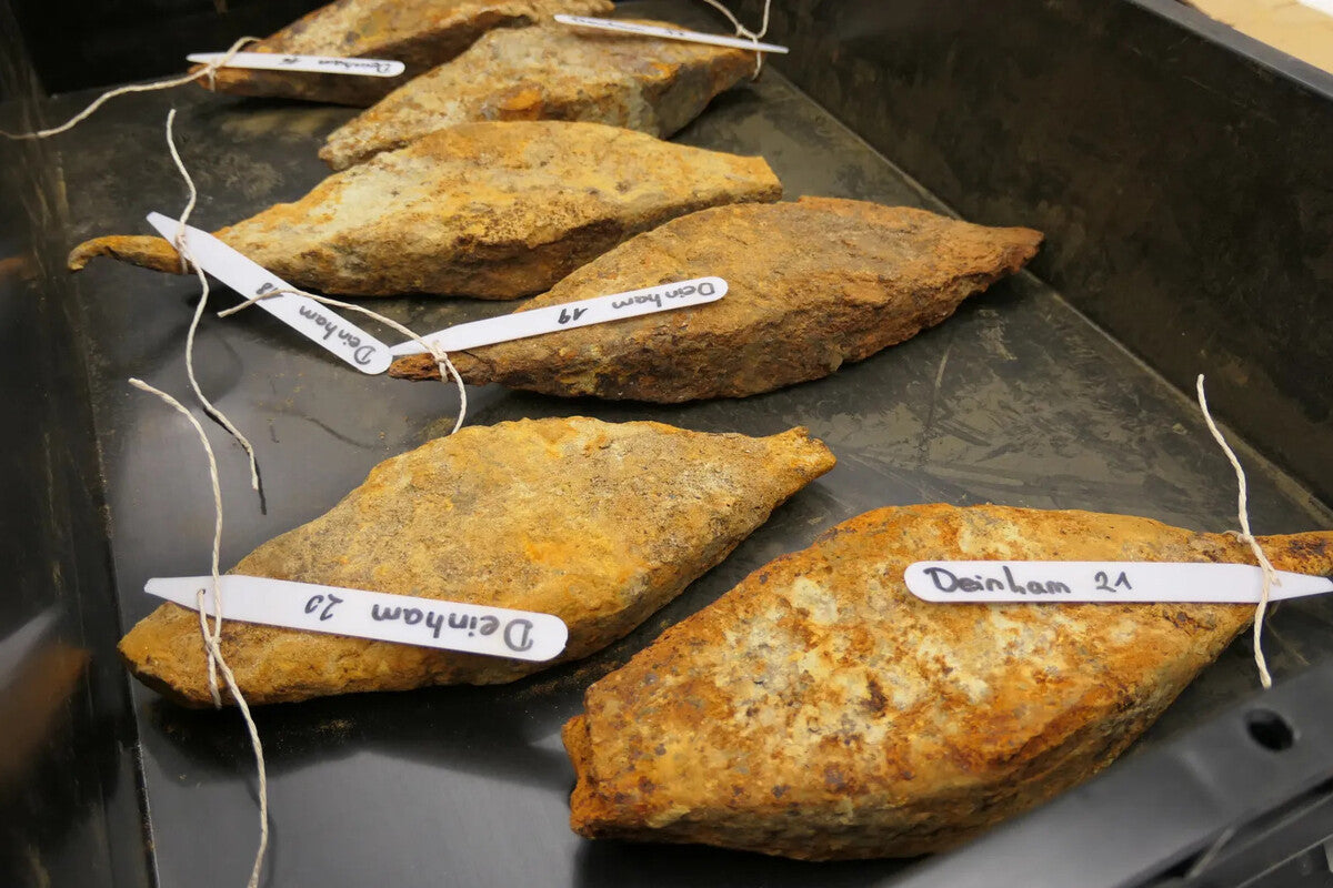 Austria Excavator Finds 1 Ton of Prehistoric Iron Bars