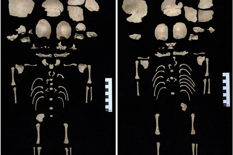 Twin Babies Found in Ancient Ephesus Toilet Near Temple