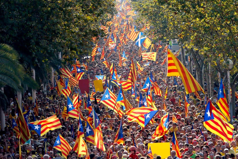 Pyrenees-Orientales Rejects Name Change to Catalan Pyrenees