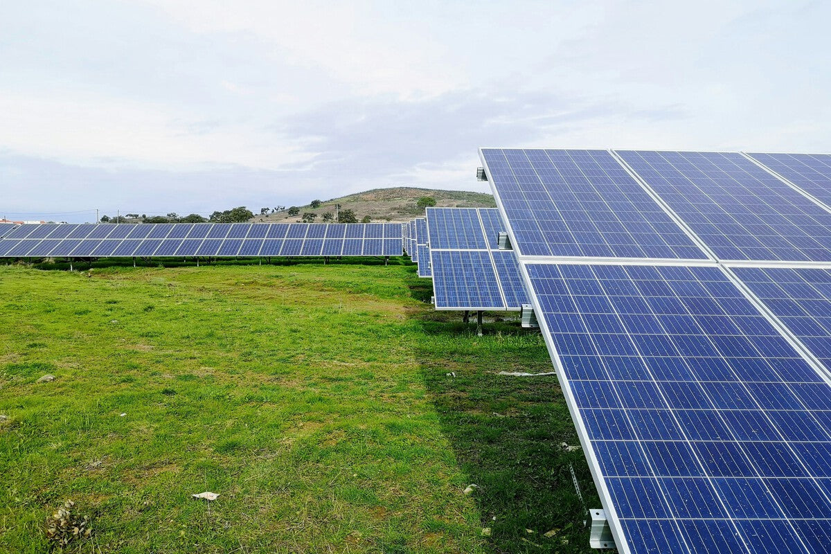 Solar Boom's Hidden Cost: Cheap Electricity Threatens New Park Profits