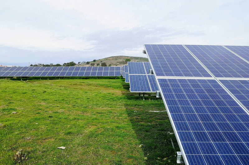 Solar Boom's Hidden Cost: Cheap Electricity Threatens New Park Profits