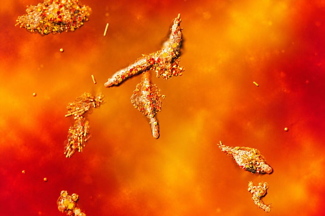 Fire Amoeba Breaks Heat Record for Complex Life, Redefining Habitability