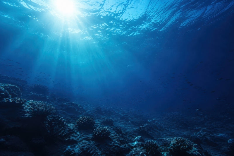 China Finds 11,742 Unknown Viruses at 6,000 Meters Deep in Pacific