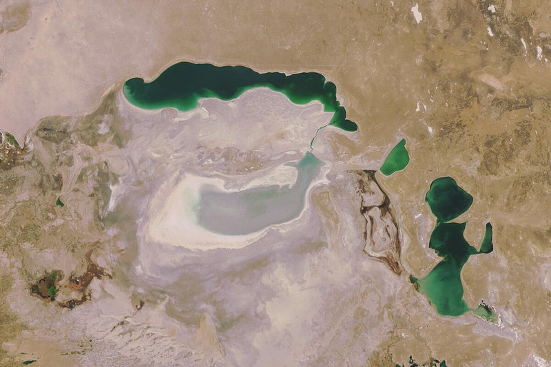 Aral Sea Reborn: Uzbekistan's Forest Fights Erosion