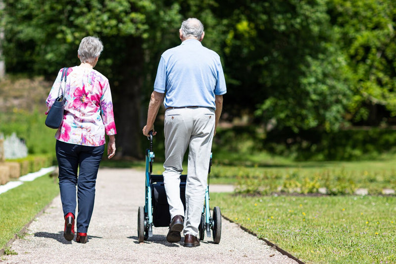 Exercise May Help Prevent Alzheimer's: New Study Reveals Key Link