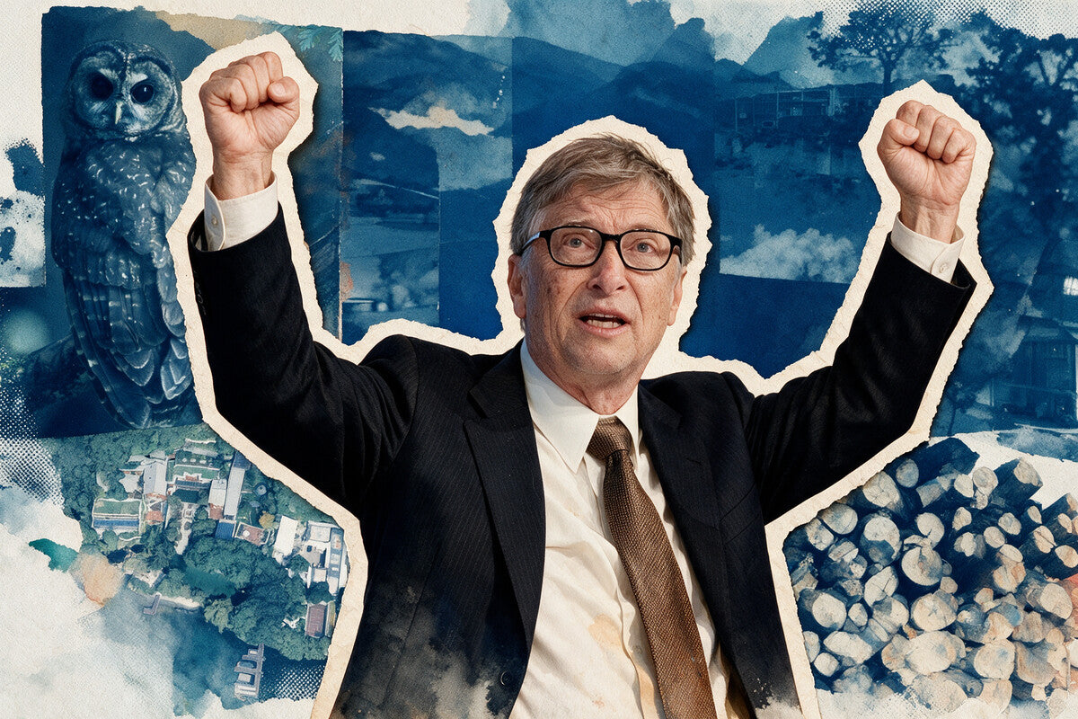 Bill Gates Mansion Plans Halted by Spotted Owl Protection
