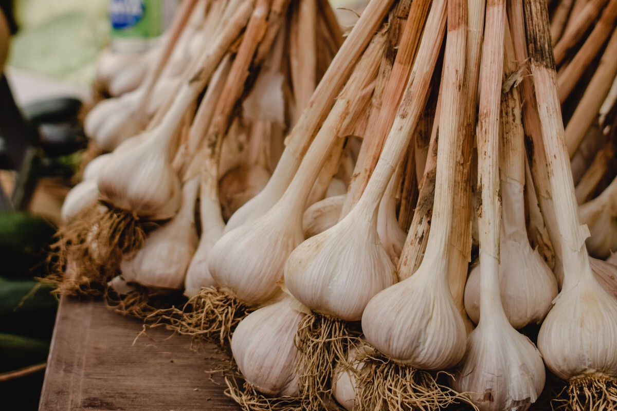 Aceuchal: The Spanish Garlic Capital Without Fields